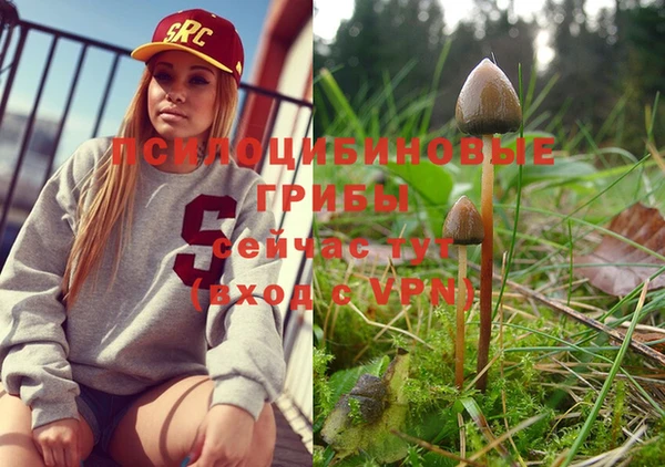 PSILOCYBIN Белоозёрский